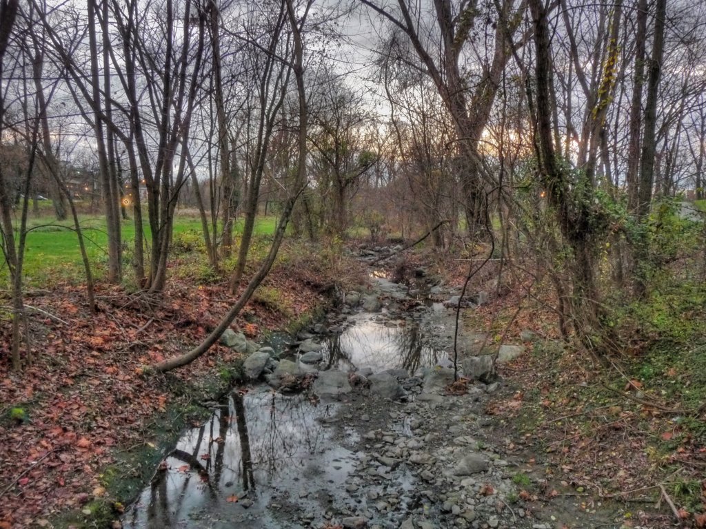Creek through Hagers Fancy