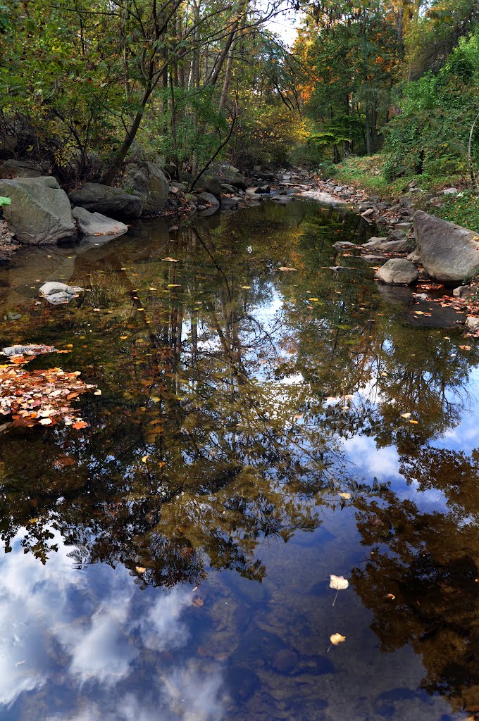 Sligo Creek
