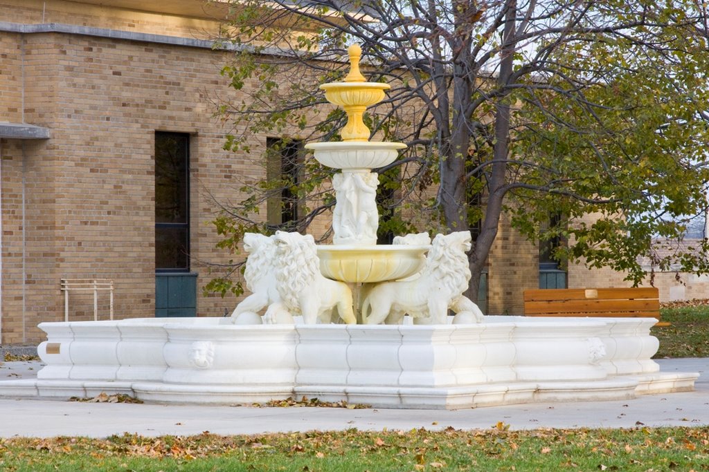 Water Fountain