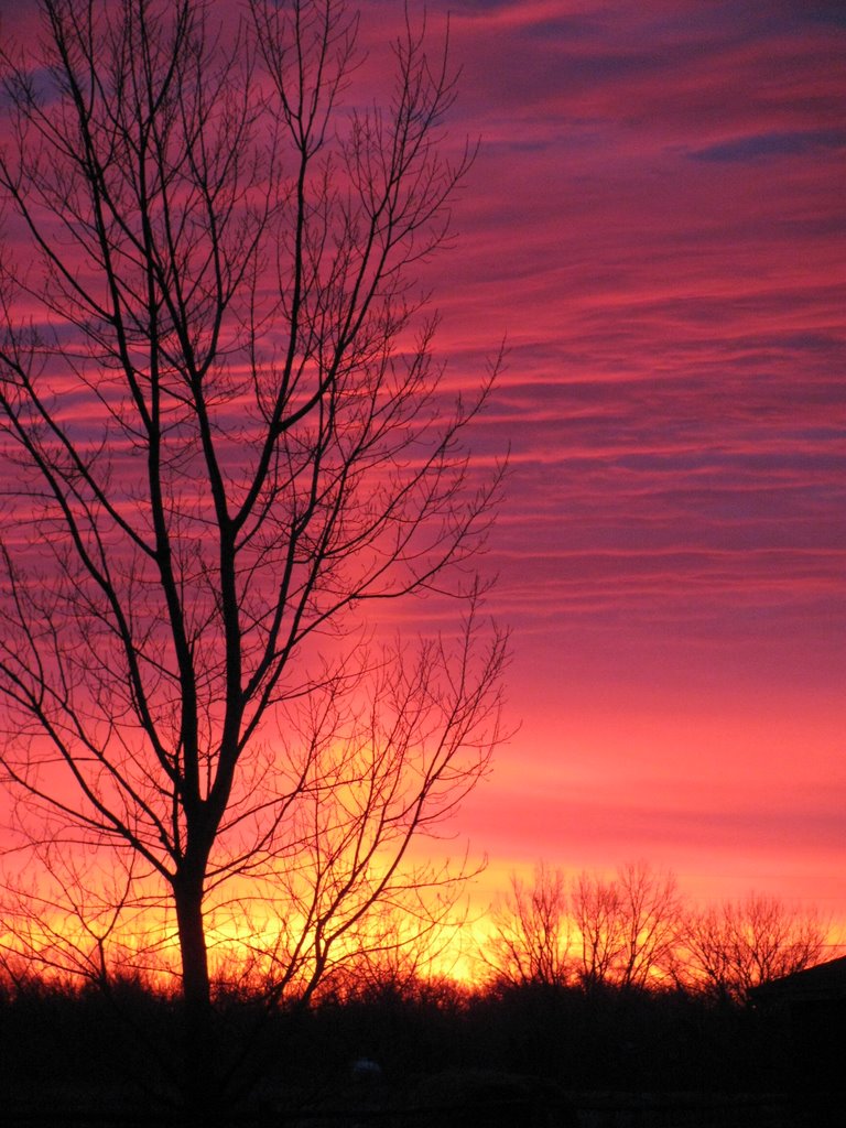 Beautiful Sunrise
