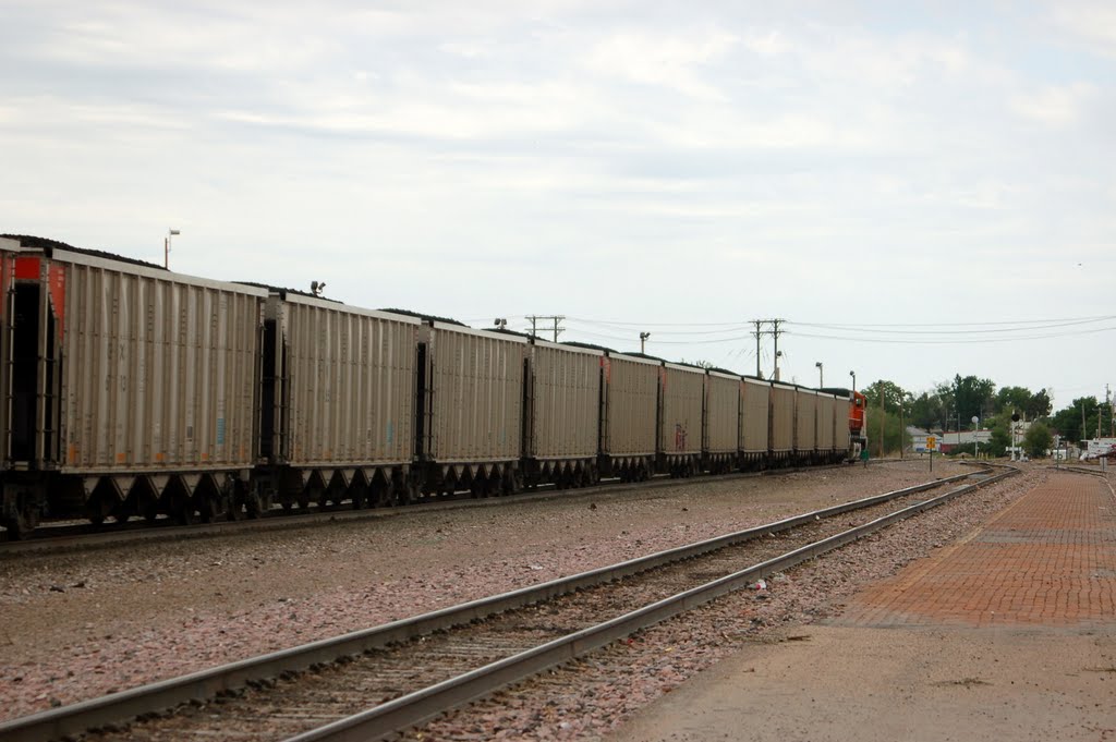 Burlington Northern Santa Fe Railroad Unit Coal Train at McCook, NE