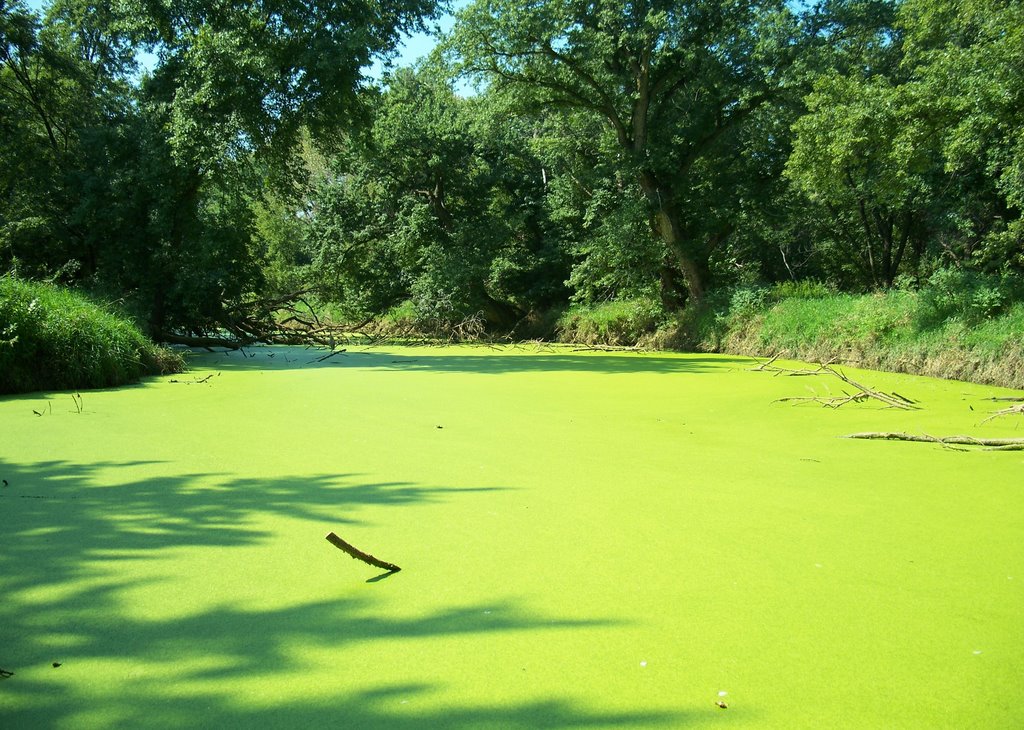Big Blue River, Milford, NE