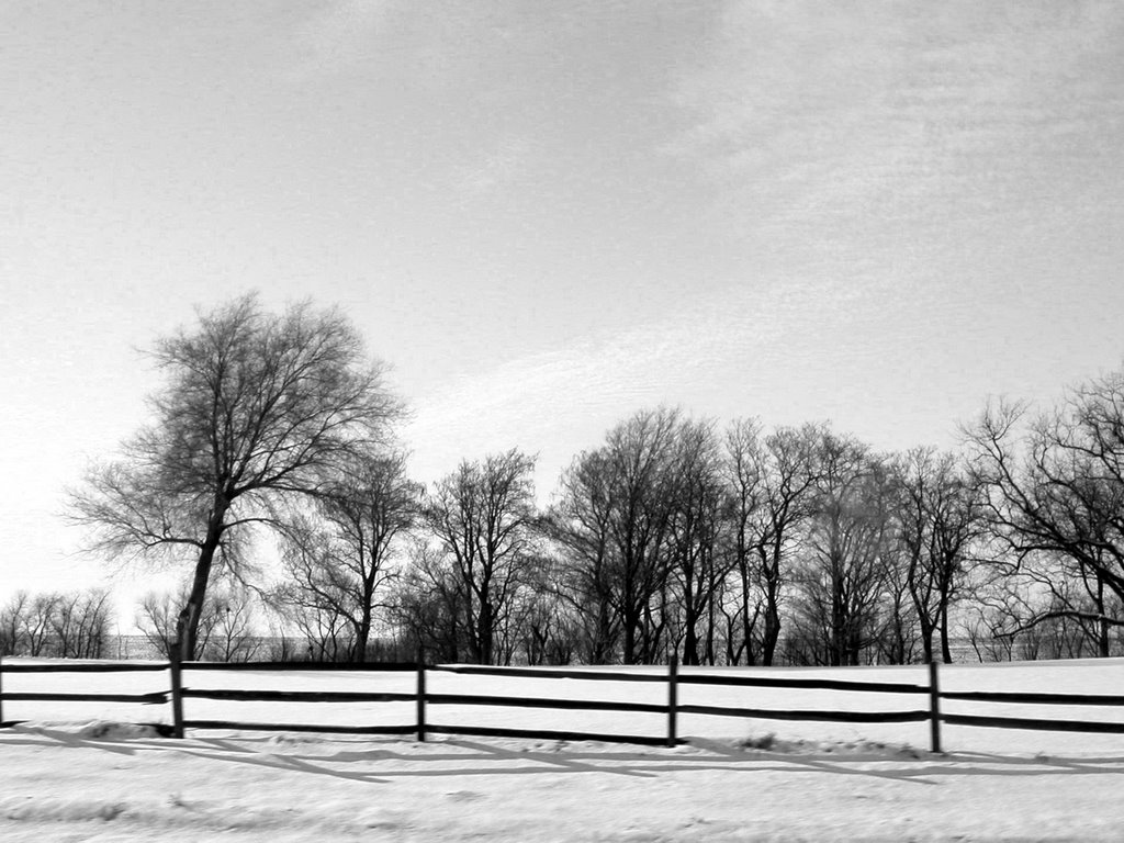 Shadows in the Snow