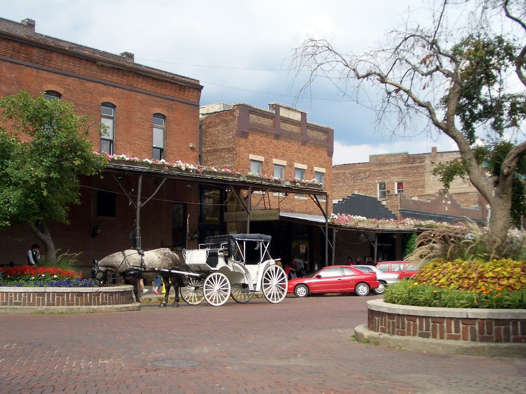 Omaha Old Market Carraige