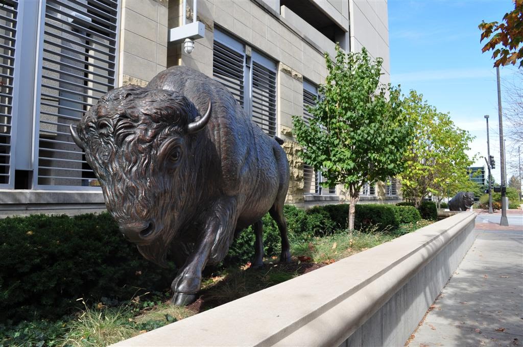 running buffalo, Spirit of Nebraskas Wilderness, Omaha, NE