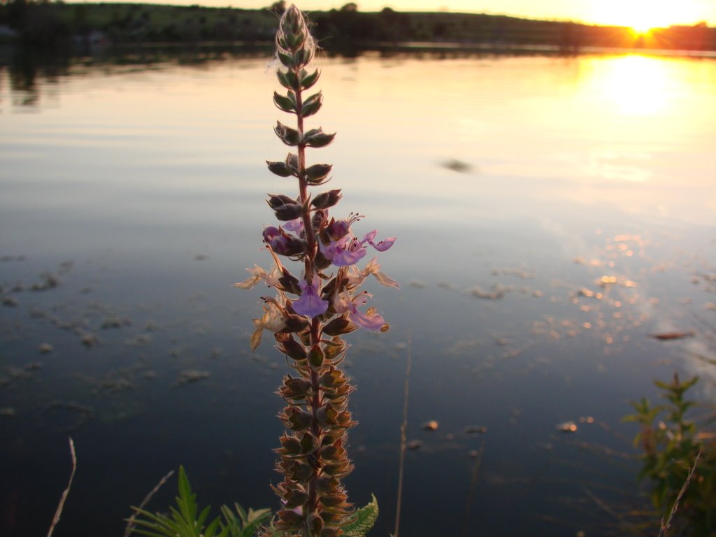 Sunset on Walnut Creek Lake