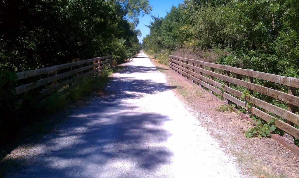 Homestead Trail - Bridge 12