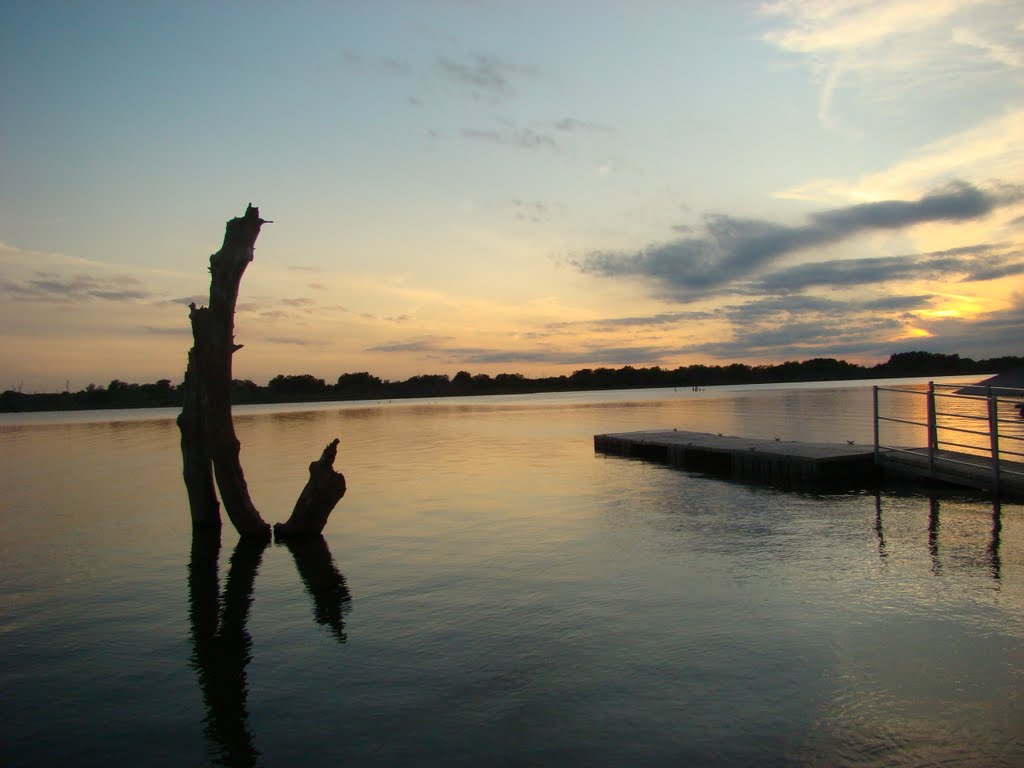 Emergent timber from Calamus Reservior.