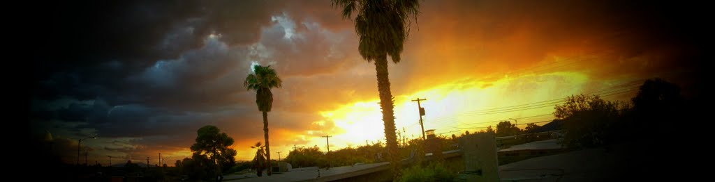 Summer Sunset