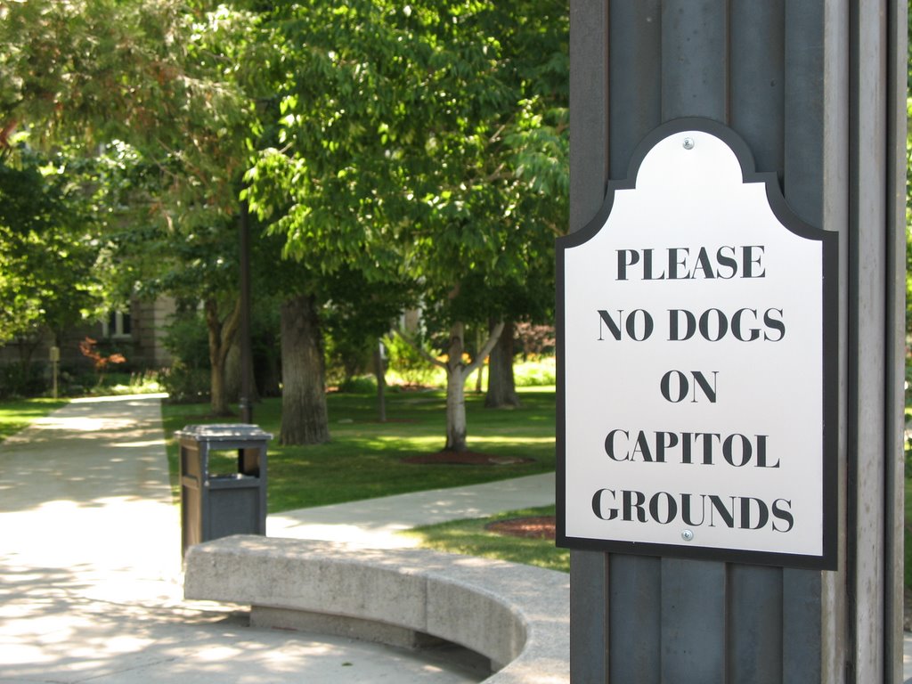 Please No Dogs