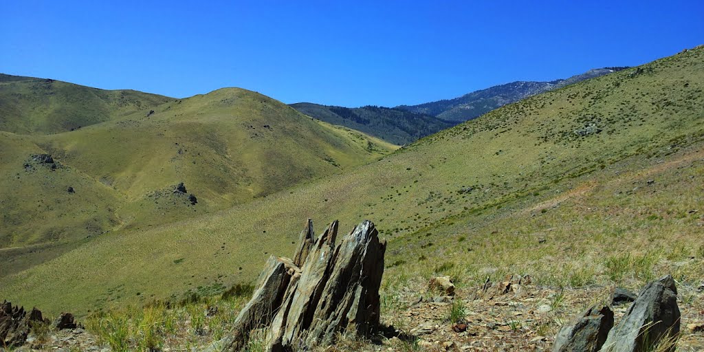 Near Landmark Hill, Looking West toward Kings Canyon