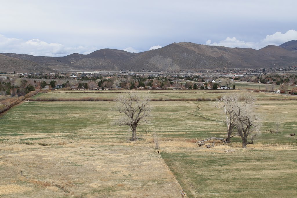 C Hill Trail , Carson City