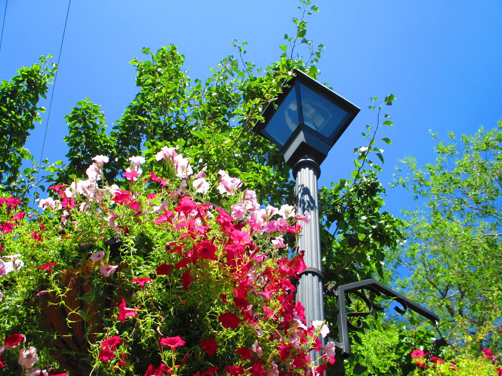 Flowered lamp post
