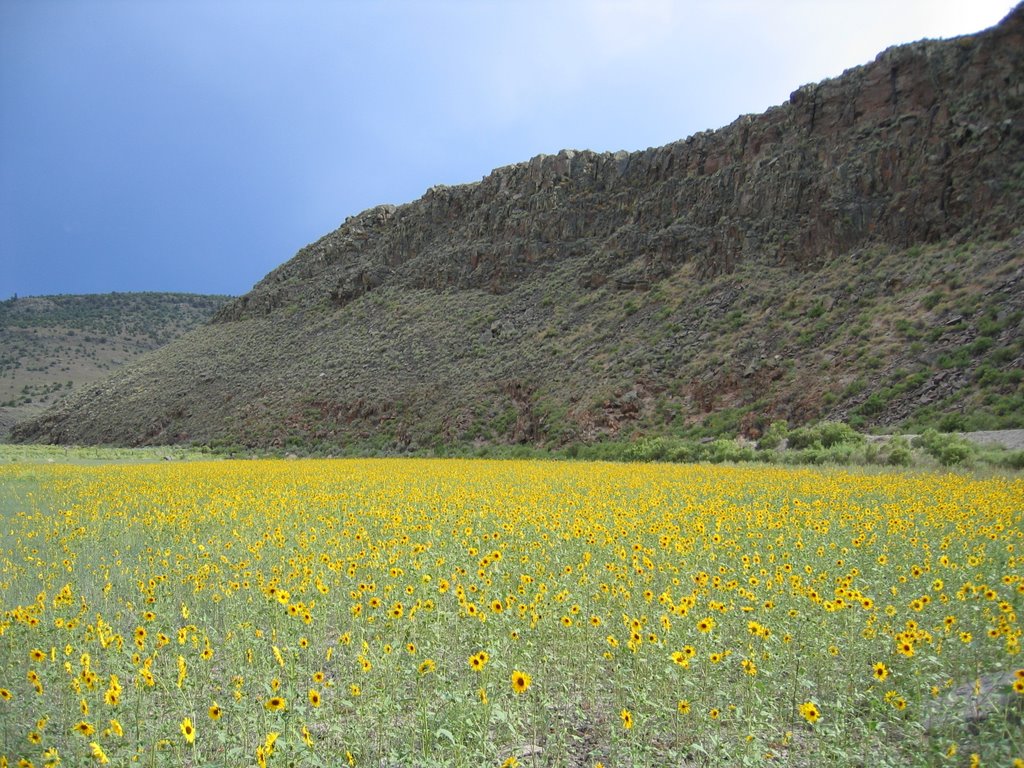 Little Fish Lake Valley