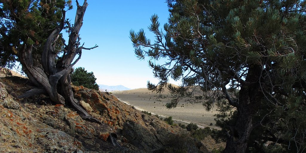 The Road to Duckwater (NV-379, WPCR-7)