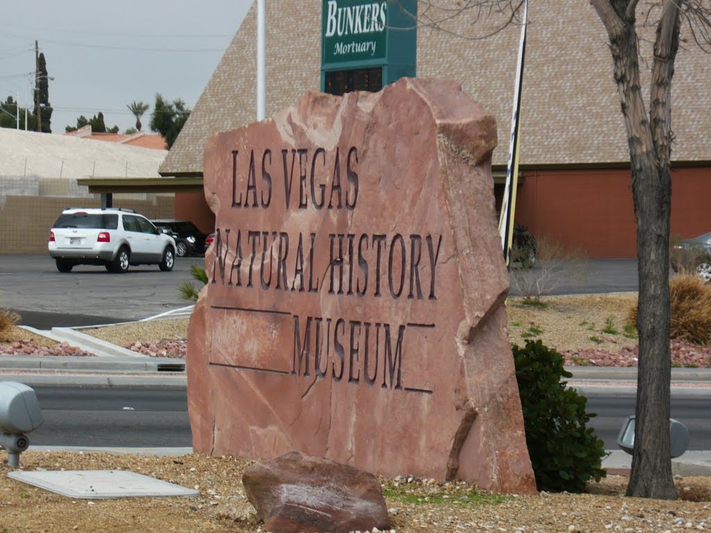 Las Vegas Natural History Museum