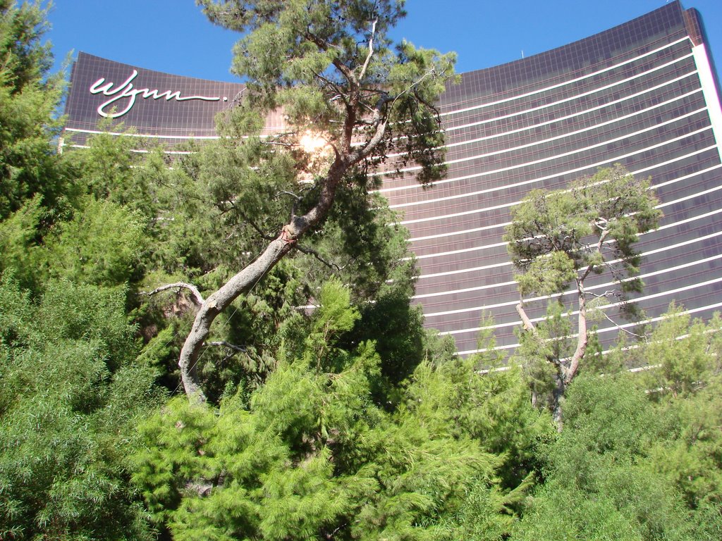The wynn las vegas