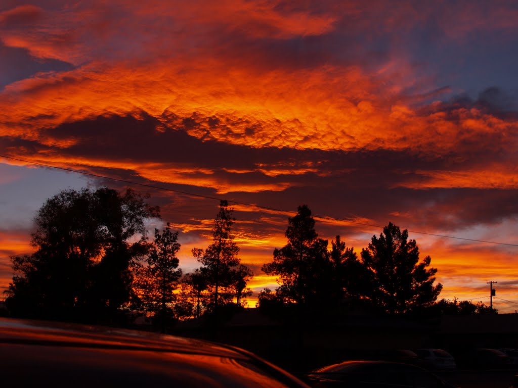 sunset in the city