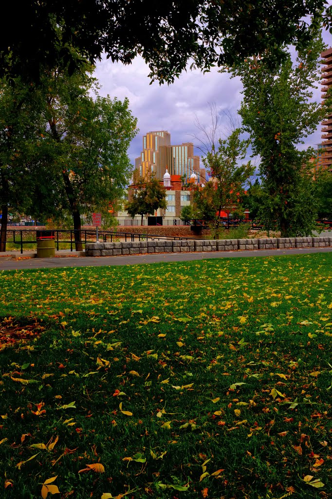 Approaching Autumn