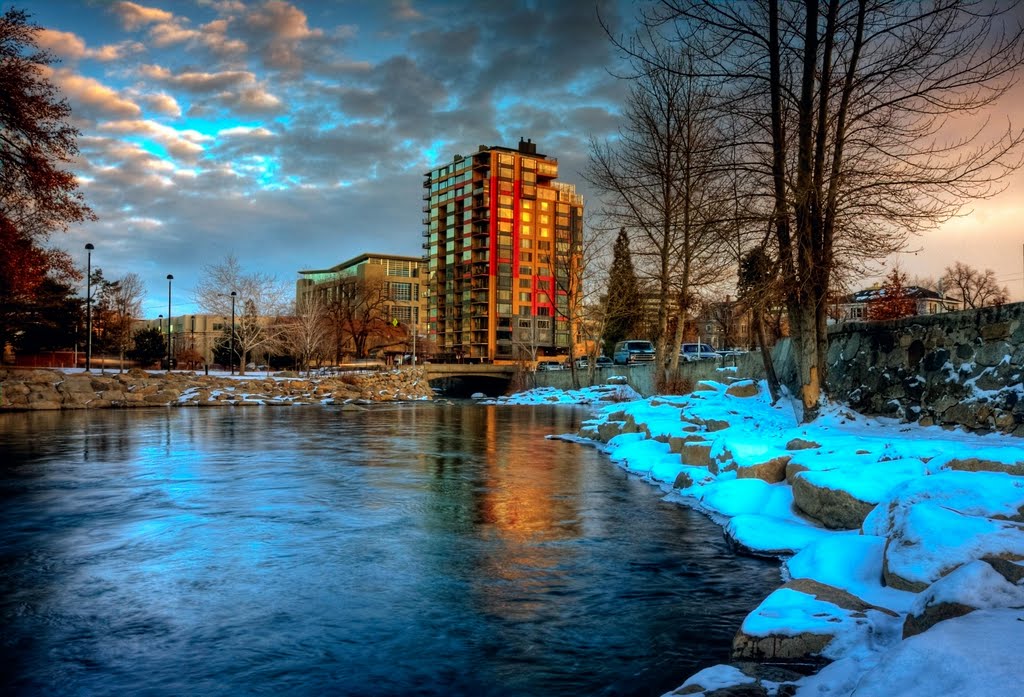 Winter Reflection