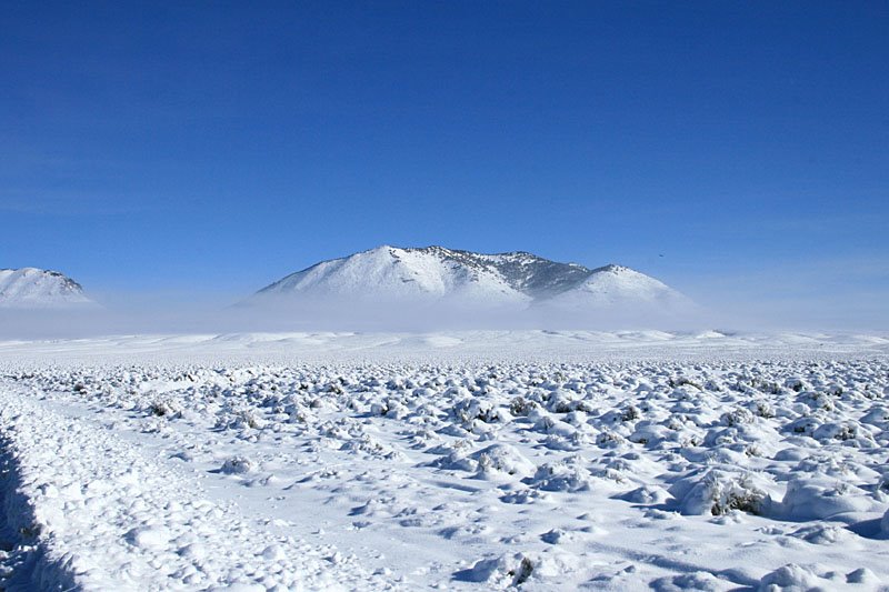 NV722 - Frozen Fog