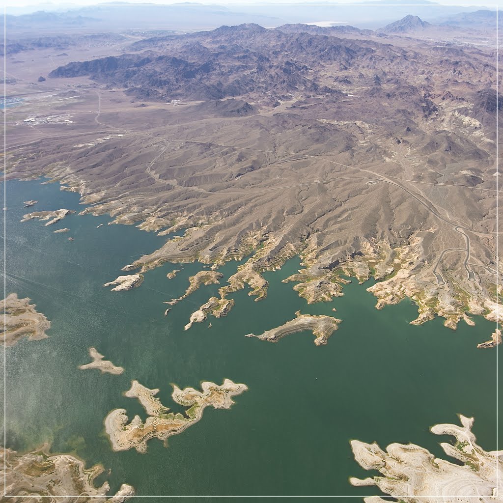 ...as a bird... Nevada...