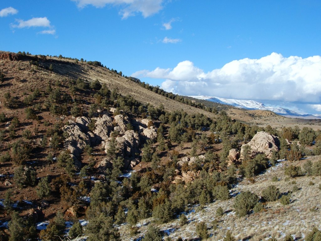 Near Hickison Summit, Hwy 50, Nevada
