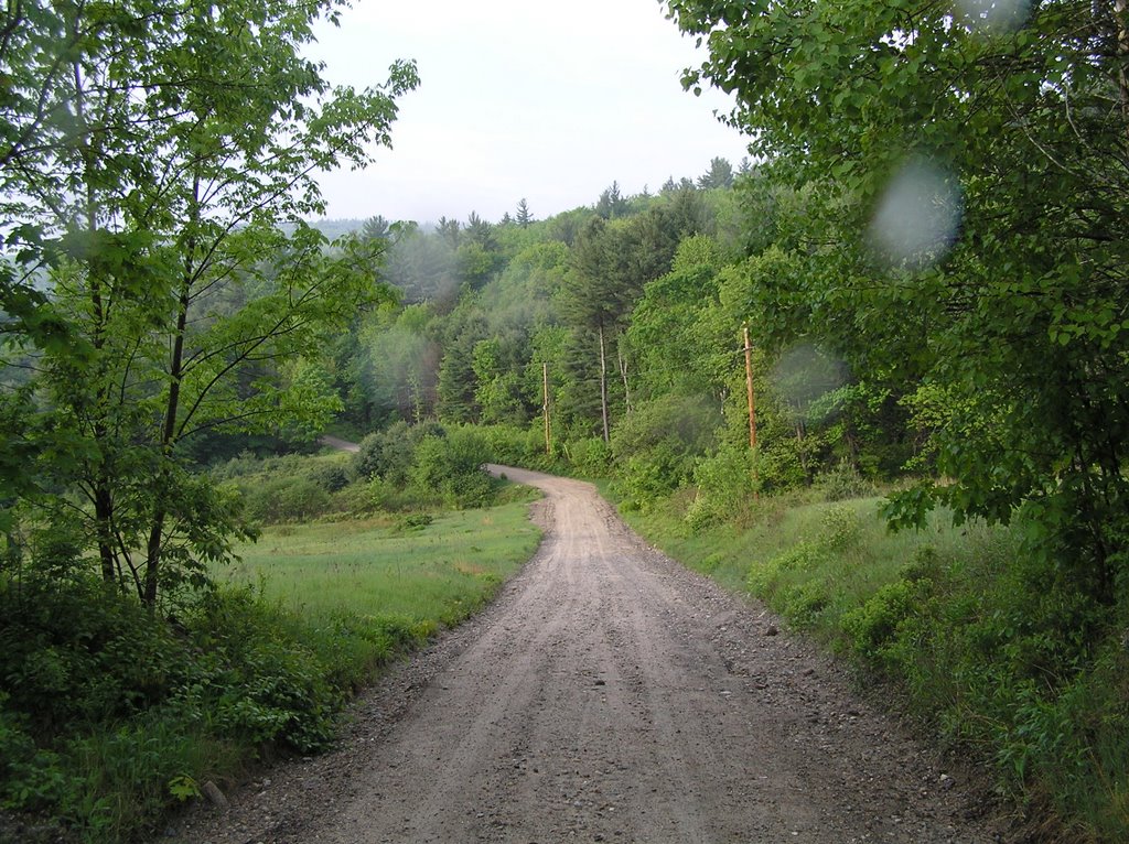 Homestead Forest, Lambert Road, New Hampton, NH