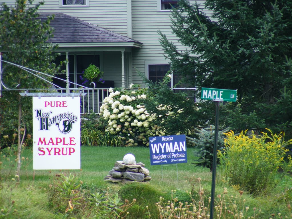 Maple syrup sold on Maple Rd