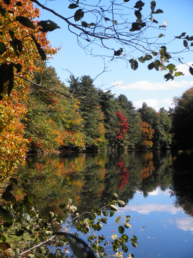 Autumn on the Cocheco River