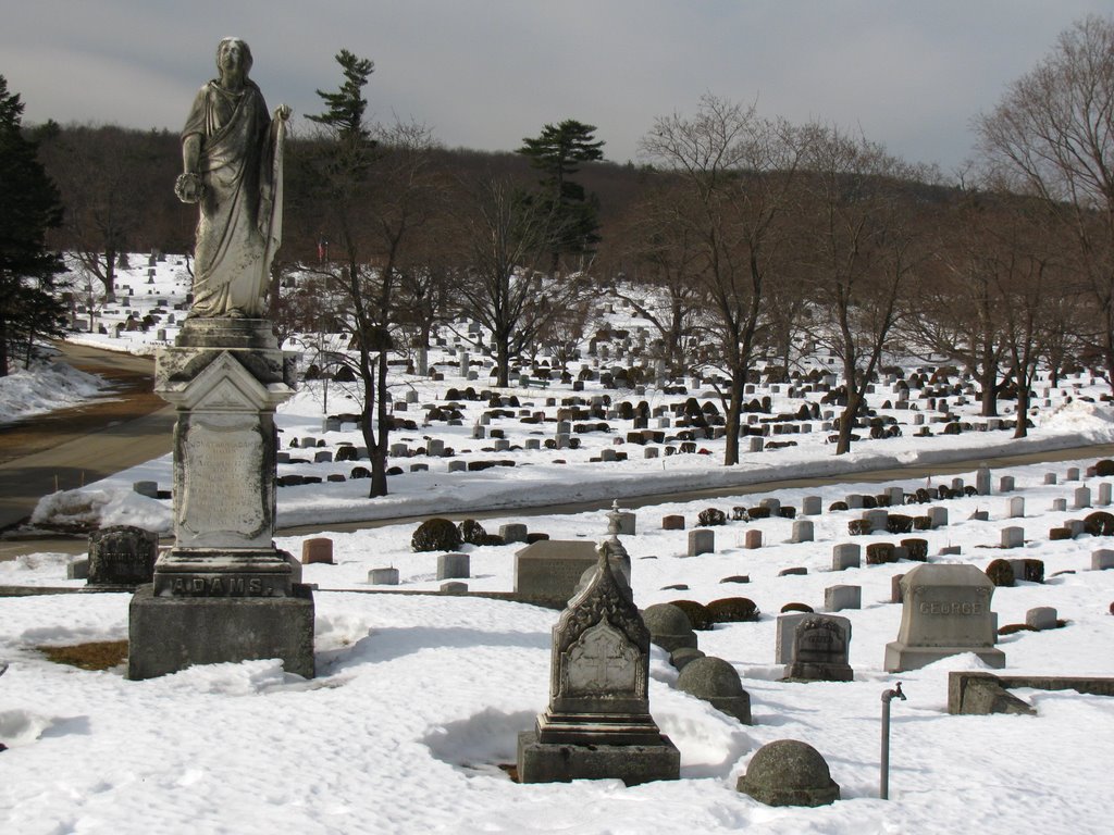 cemetery in north Concord