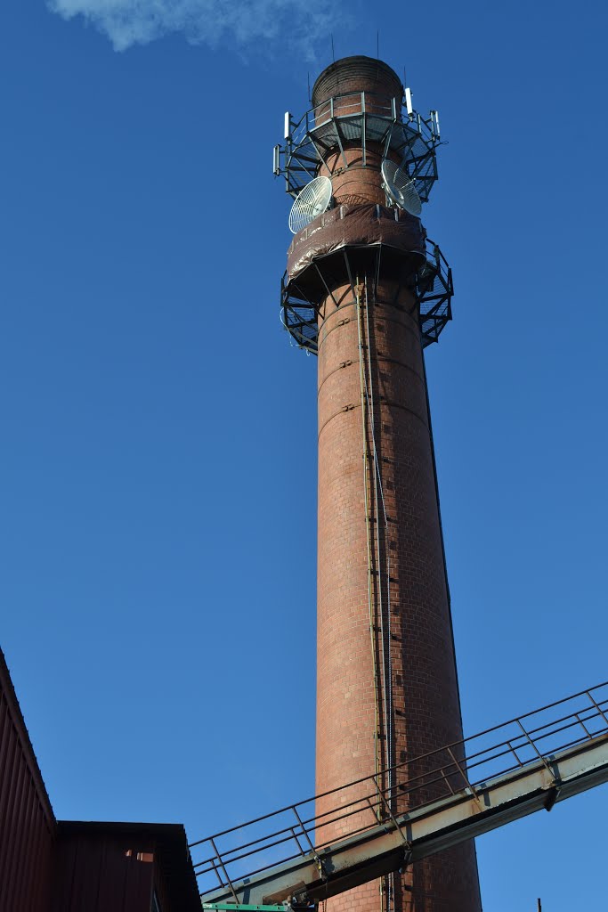 The smoke stack from the wood fired boiler.