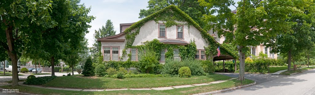 Beautiful Green Landscaping