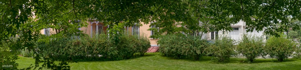 Beautiful Bushes