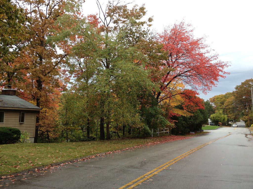 Fall in Manchester