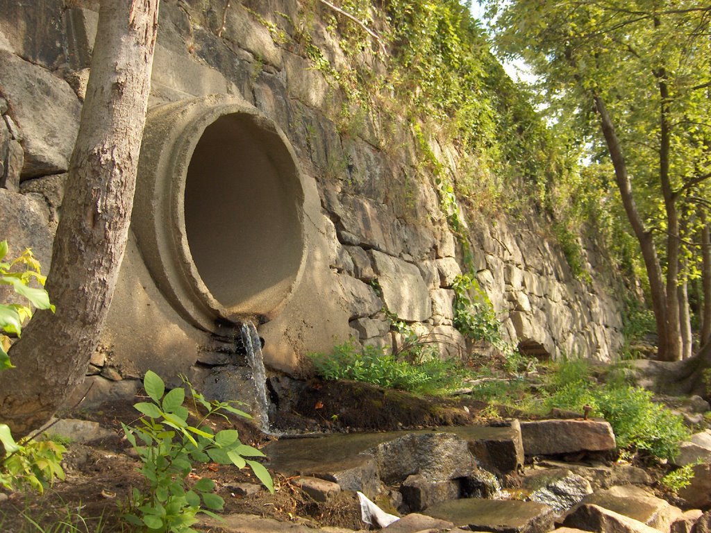 Hidden spot by the river