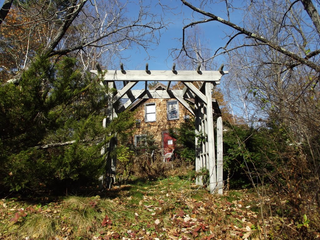 Trellis.