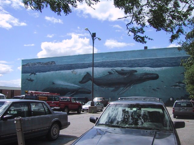 Whales