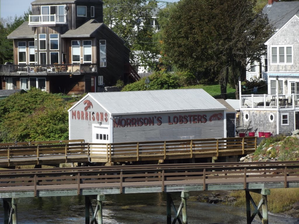 Lobsters.
