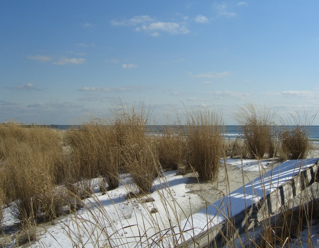 Ocean View From Boardwalk