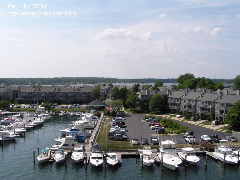 Seaview Isle Marina