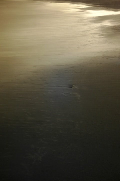 The Passing