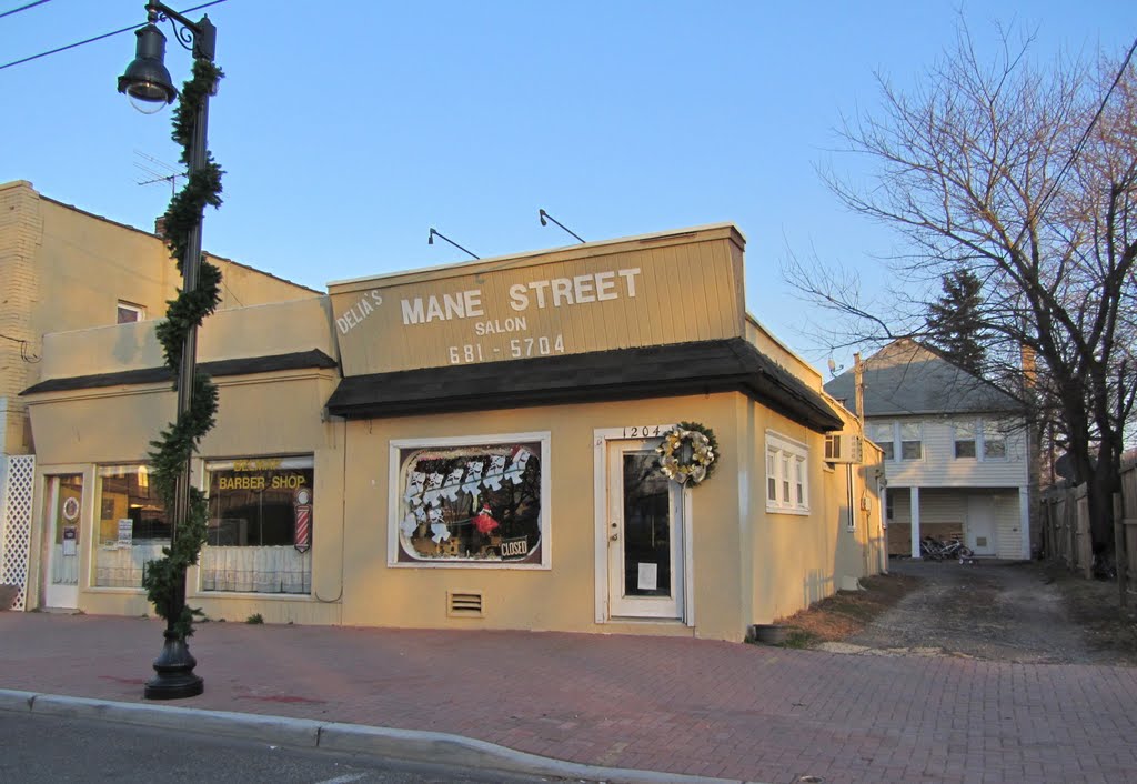 Delias Mane Street