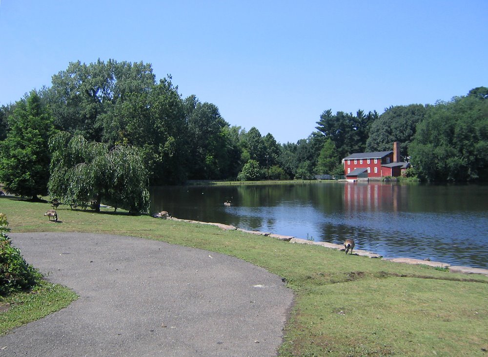 Coopers Pond