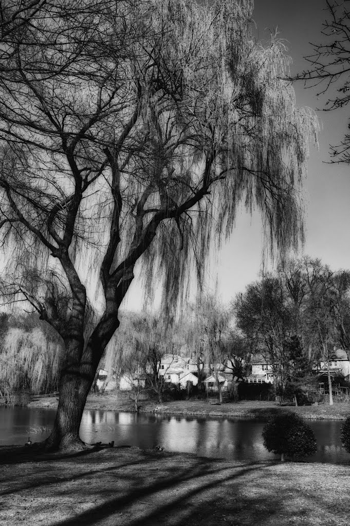 Cooper Pond