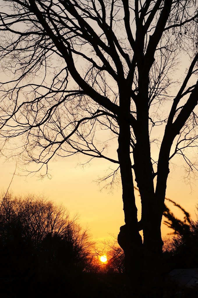 Sunset @ Bergenfield, NJ