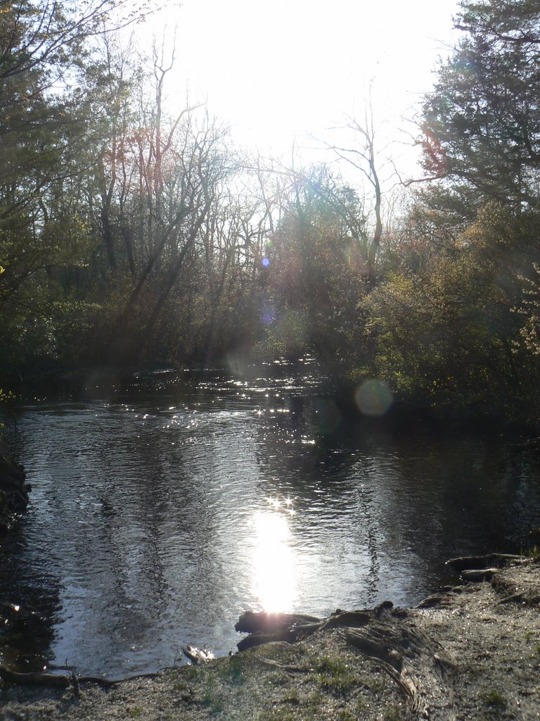 Cedar Creek