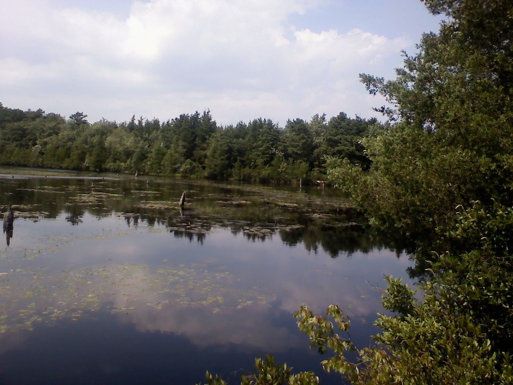 Double Trouble State Park