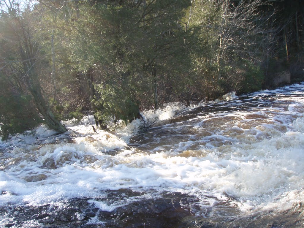 Cedar Creek Dam