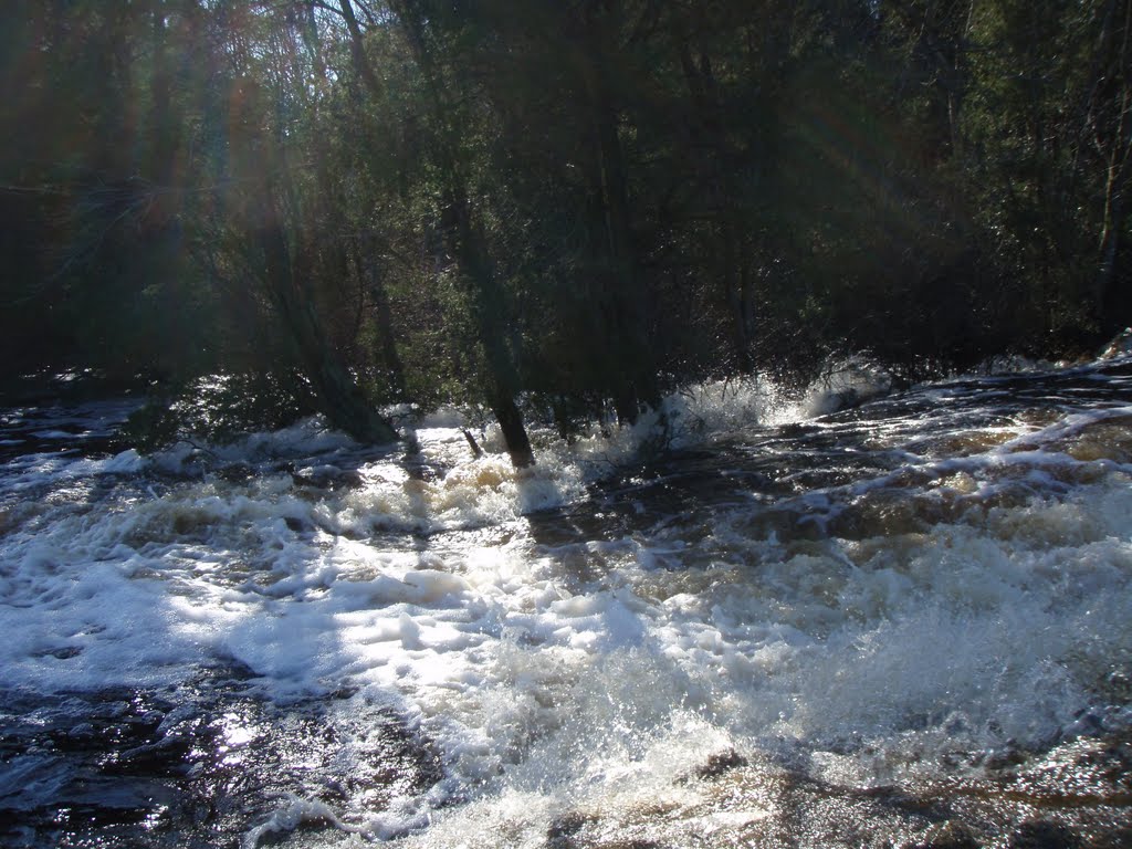 Cedar Creek Flood
